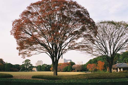 Tokyo Imperial Palace 2006